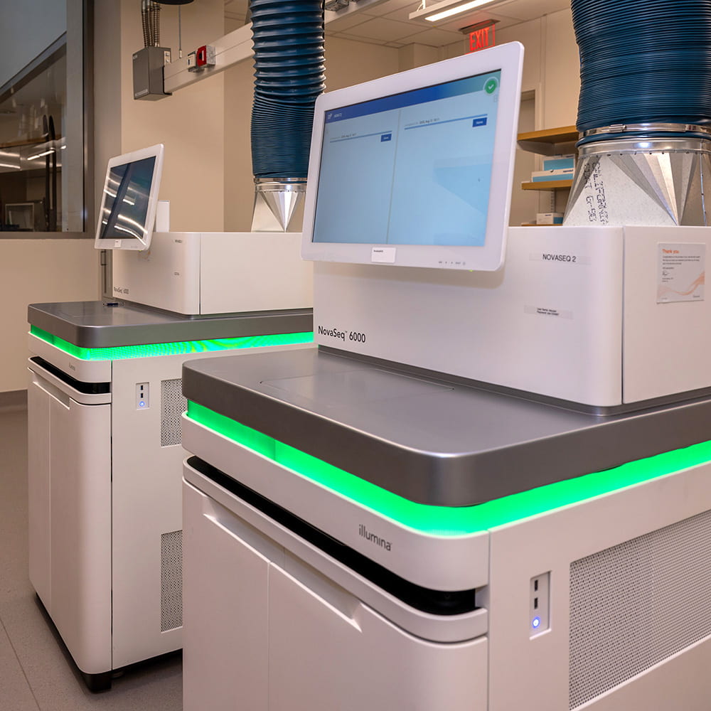 GwiasdaSig15128's tweet photo. Das Illumina NovaSeq 6000 eignet sich hervorragend für den DNA-Abgleich von Meeressäugern. Es ist ein leistungsstarkes Hochdurchsatz-Sequenziersystem, das weltweit für die Genom- und Populationsgenetik von Walen genutzt wird. 
#DNAAnalyse #Sequenzierung #Gene #Buckelwal #Hope 🐬 https://t.co/usAkk3tzxK