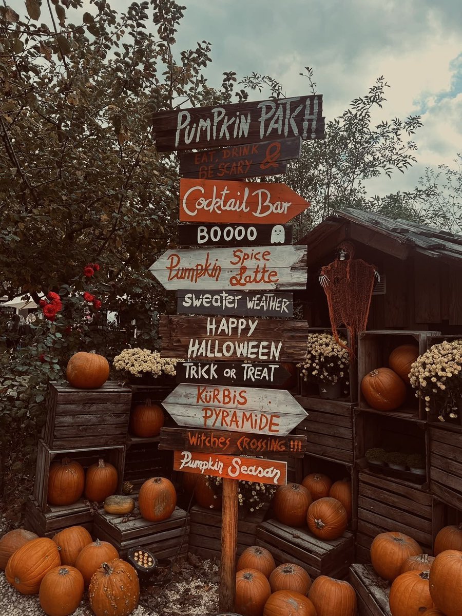 thespookygirll's tweet photo. cozy autumn vibes 🍁🍂🌧️☕️ https://t.co/Dbwpx4RY90