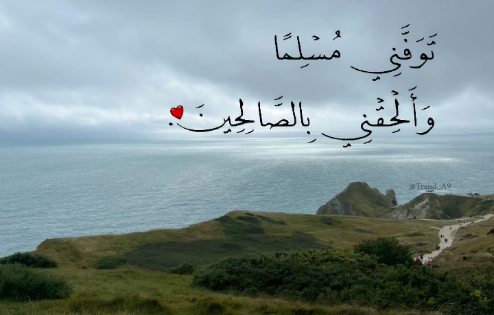 Trend_A9's tweet photo. الأمنية الأولي والأخيرة . https://t.co/Qkbpk70LyD