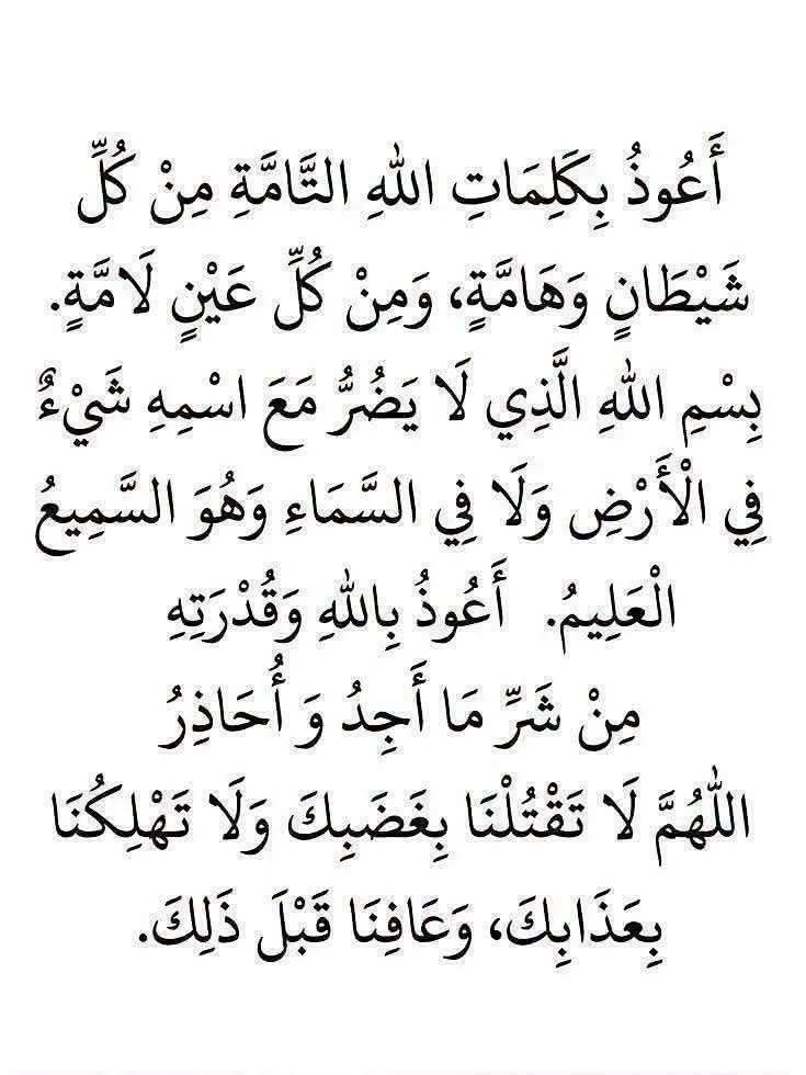 7signxx's tweet photo. Recite and repost... https://t.co/jtVBhJ0vUn
