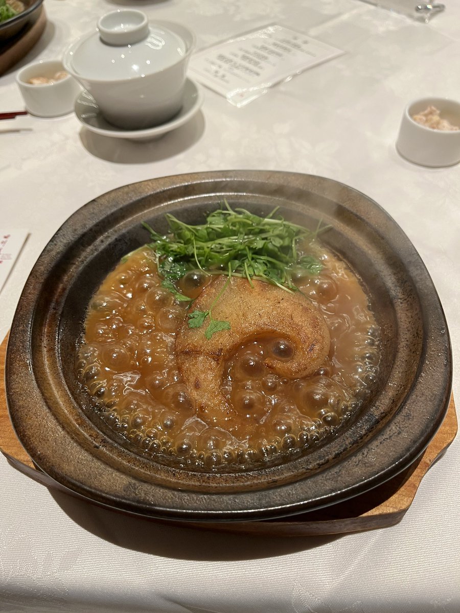DaiichiKajapi's tweet photo. 一昨日は友人と某優待で1人無料の中華へ。

焼きフカヒレって初めて食べたけど美味い😋

全体的にソースが好みでした。 https://t.co/LcHqiXSi6B