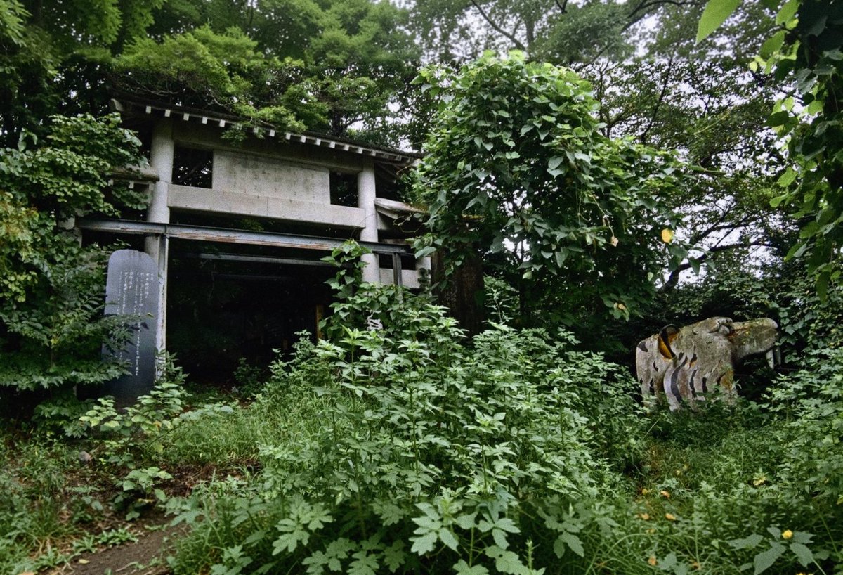 44nue's tweet photo. 縺ｪ繧薙□繧阪≧縺薙?繧ｨ繝ｪ繧｢縺ｯ
 #廃墟 https://t.co/zJE7kCMV43