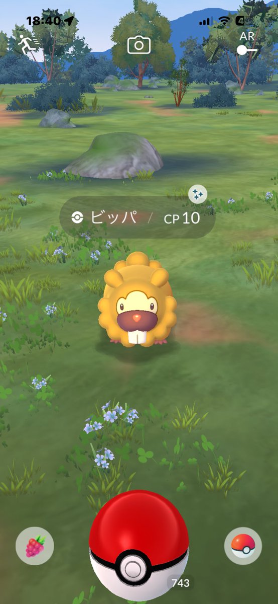 aros613's tweet photo. はつげっと ( 'ϖ')🧡 

#ポケモンGO #pokémonGO https://t.co/Ya81YLWIpP