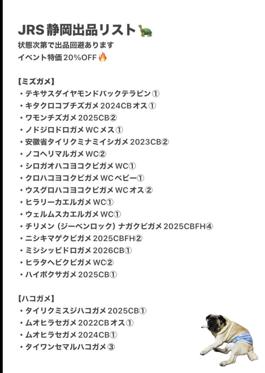 FReptiles's tweet photo. JRS静岡の出品リストができました！

ご質問、お取り置きがありましたら、お気軽にお問い合わせ下さい🙂‍↕️

#ジャパンレプタイルズショー静岡
#JRS静岡  #夏レプ https://t.co/PQYLj22moU