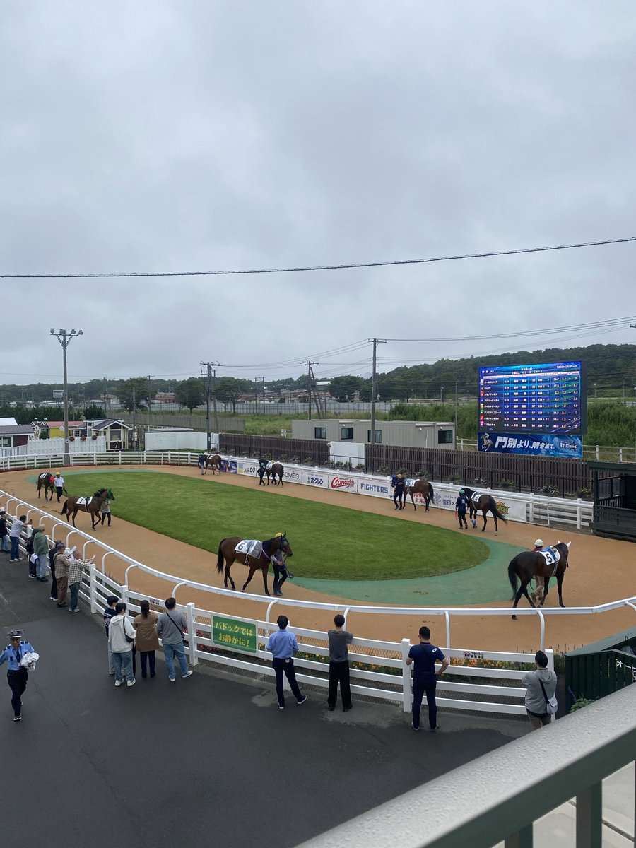 jiropay's tweet photo. 本日も大敗で🤮
引き続き未勝利です…

2026年
中央競馬　0-1-1-1
地方競馬　0-0-0-13
#北海道競馬 https://t.co/YclA6UX46v