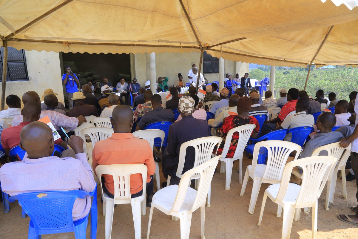 SamuelTayariWes's tweet photo. Coffee farmers from Kajara County Ntungamo District are participating in a comprehensive coffee farming training at Abbi Coffee Farm in Nyabihoko. The training is aimed at equipping farmers with modern agricultural practices to improve coffee production, quality. https://t.co/ZSzydCYAwA