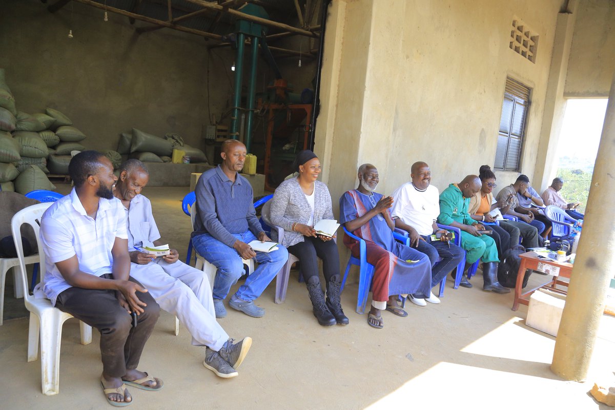SamuelTayariWes's tweet photo. Coffee farmers from Kajara County Ntungamo District are participating in a comprehensive coffee farming training at Abbi Coffee Farm in Nyabihoko. The training is aimed at equipping farmers with modern agricultural practices to improve coffee production, quality. https://t.co/ZSzydCYAwA