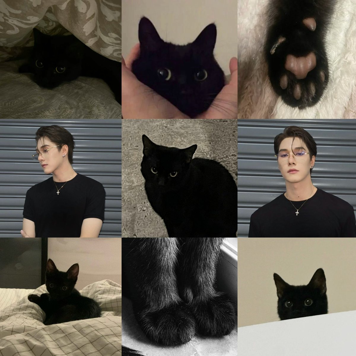 pinskynini_n's tweet photo. meow meow 🐈‍⬛

{ #hirunkit_ } https://t.co/p8uDtGEOZ3