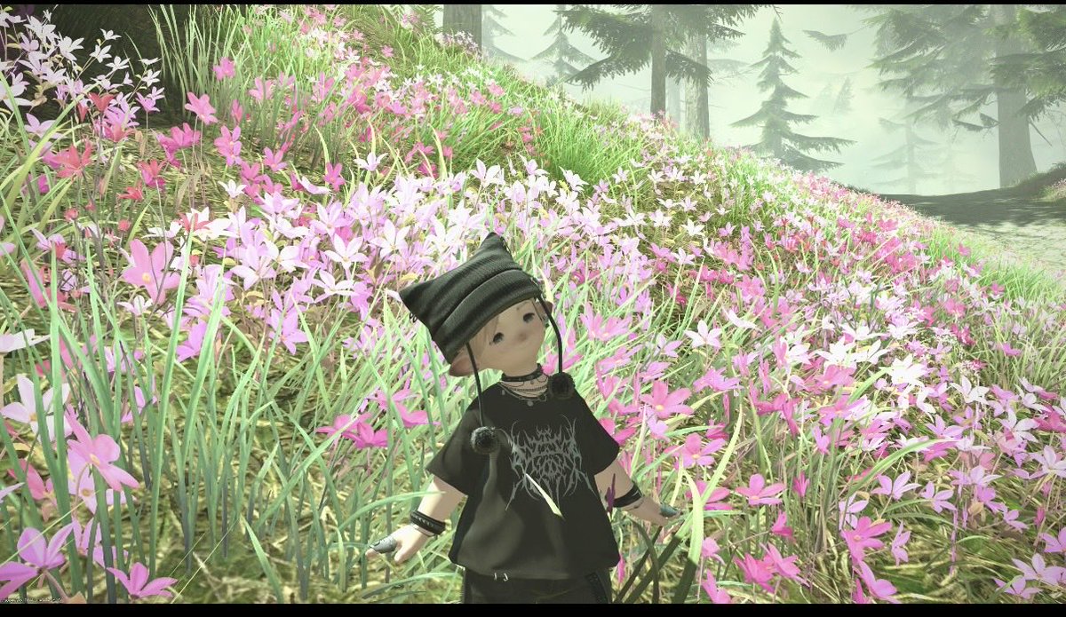 asappemonsuto's tweet photo. 幻想薬つかってしまった。
しばらくはこの姿ですごそー
#FF14 #FF14フレンド募集中 https://t.co/Y2n5j2Y9Ut