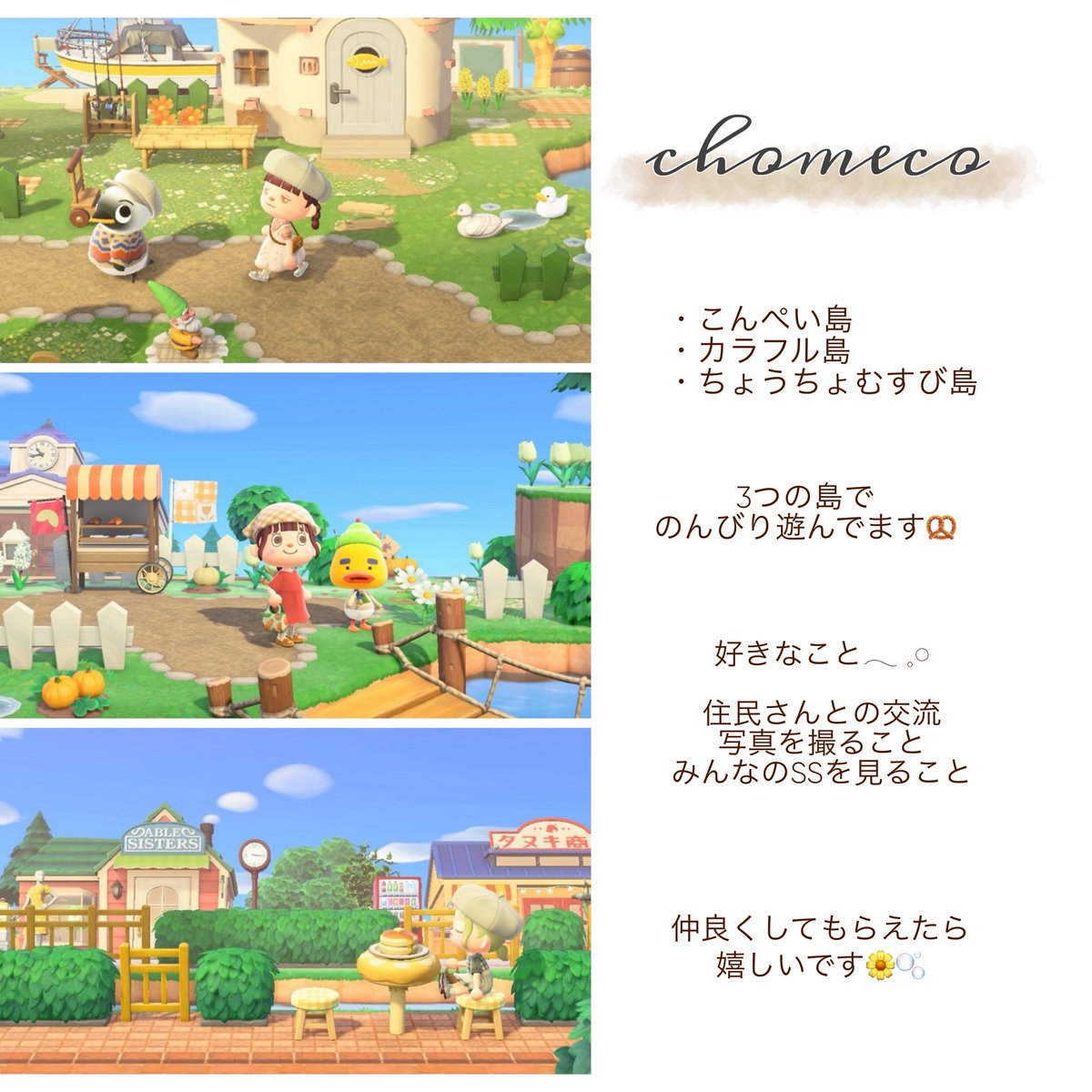 chouchomeco's tweet photo. 🏷️animal crossing𓂃 ⚮̈ .゜

#あつ森  #あつ森写真部  #acnh #あつ森好きな人と繋がりたい https://t.co/39O9vwbQu7