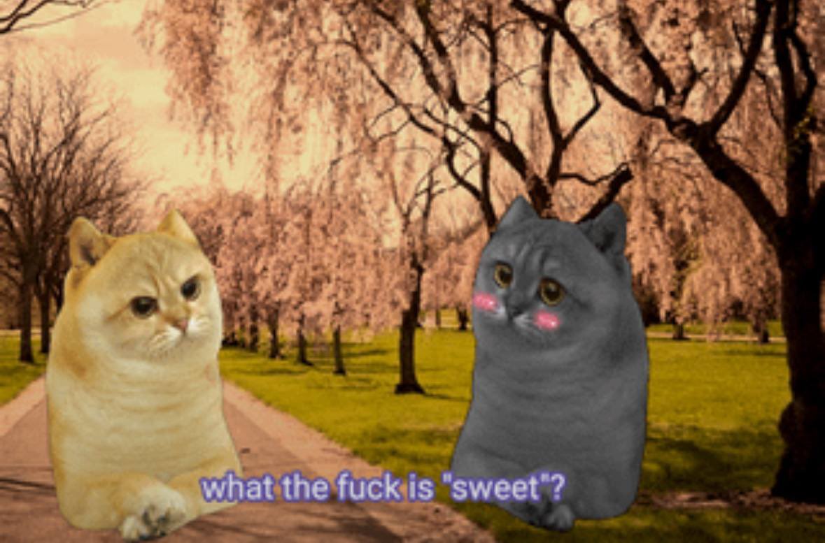 ethereumcate's tweet photo. what the fuck is ‘sweet’? https://t.co/VX8iAsk781