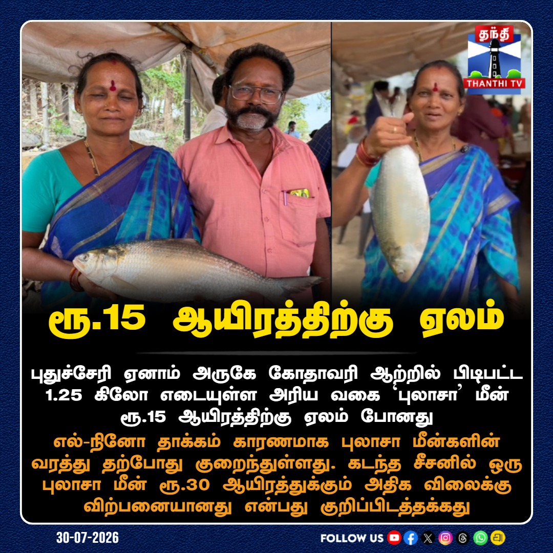 ThanthiTV's tweet photo. அரிய ‘புலாசா’ மீன் ரூ.15 ஆயிரத்திற்கு ஏலம்
#PulasaFish #Pulasa #Puducherry #Yanam #Godavari #RareFish #ThanthiTV https://t.co/FvMDDdGOsH