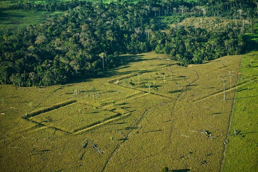 4gottnHistory's tweet photo. Mainstream archaeology got it completely wrong again.

​For decades, textbooks insisted the Amazon was a "pristine wilderness, too harsh to support complex ancient populations.

​Then satellite LiDAR peeled back the canopy.

​The result? 1,000+ massive geometric earthworks, 40 meter-wide paved highways, and engineered cities built for millions.

​It wasn't a virgin rainforest. It was an abandoned empire.

​How many other untouched wildernesses on Earth are actually the buried ruins of erased civilizations?