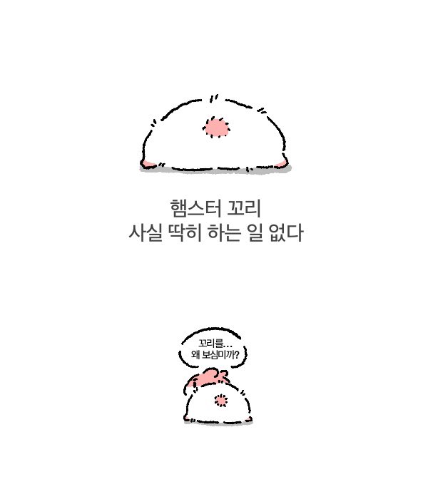 helloA0312's tweet photo. 💗 햄스터 꼬리는 사실🫢 https://t.co/Vcn4myLP39