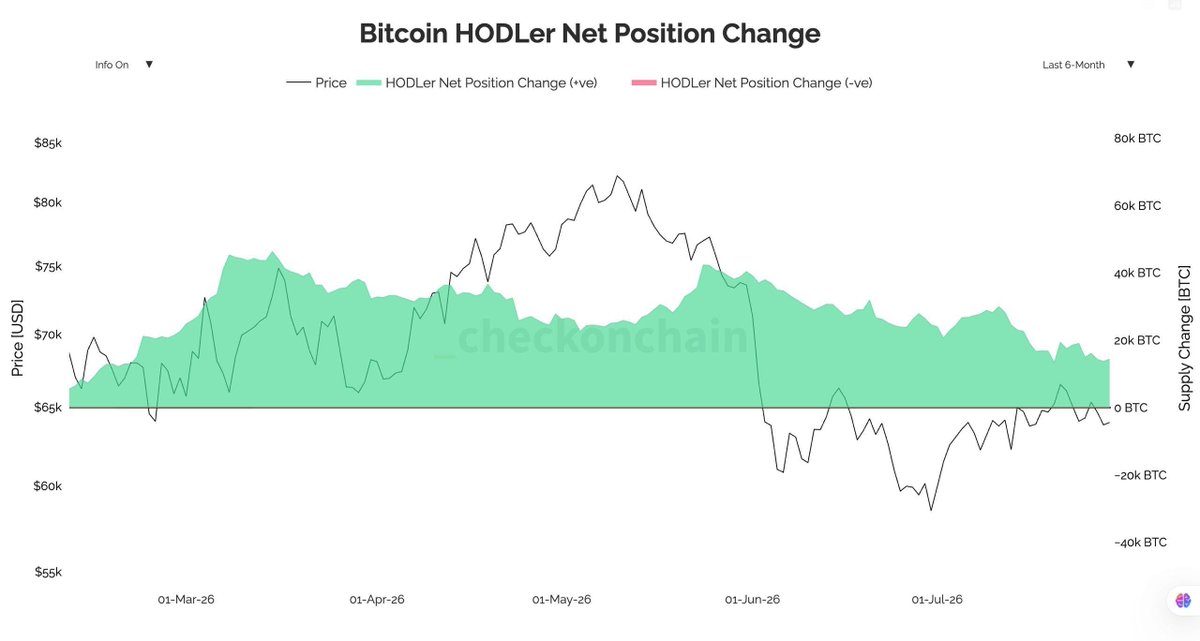 randgroup's tweet photo. Bitcoin dropped 49% from the top and HODLers never had a single week of net selling. Six straight months of accumulation. https://t.co/lEdXYNuvbW