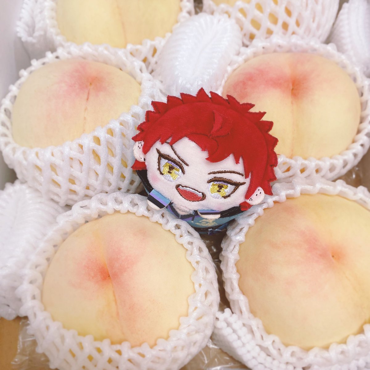 95__ne's tweet photo. 実家から届いた 🍑 ⁎⁺ https://t.co/uFeFbhuR0q