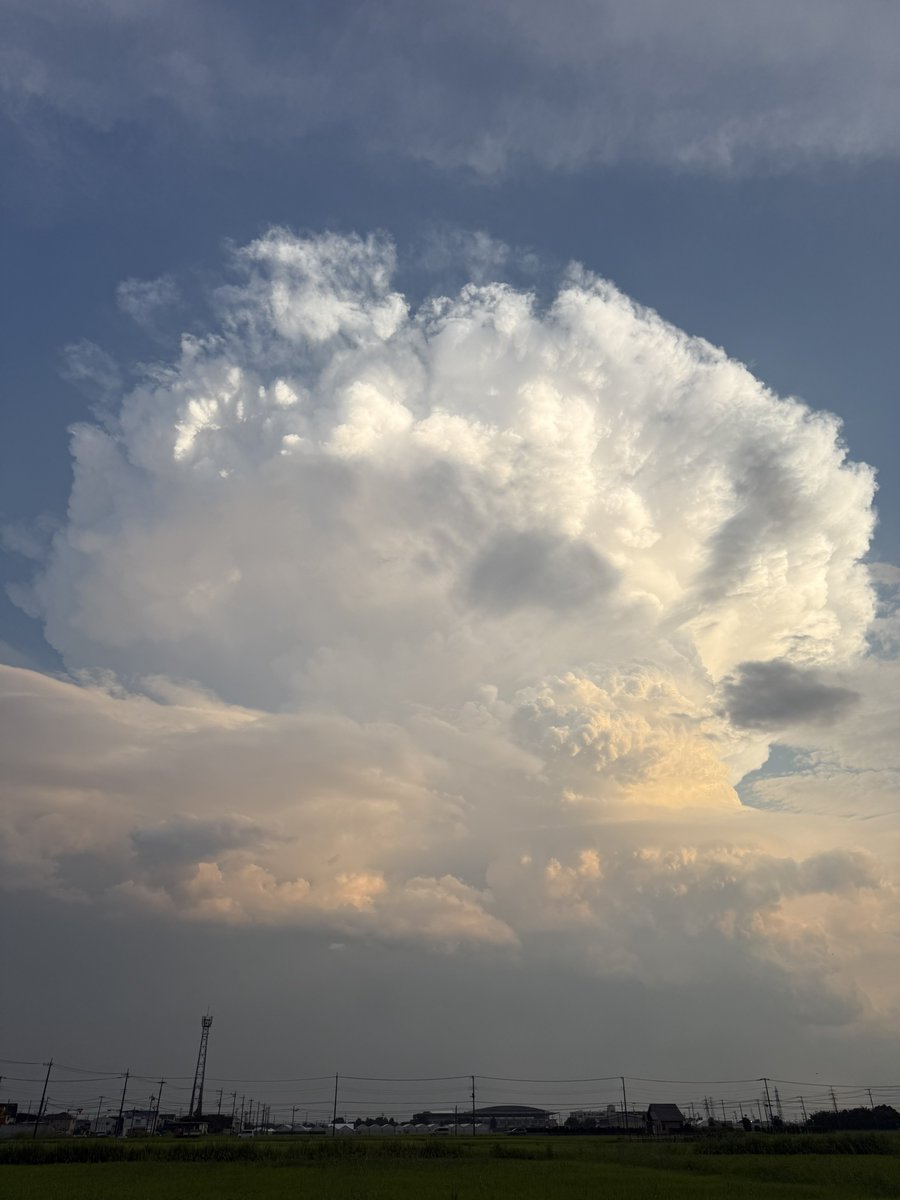 S14S145103's tweet photo. 仕事帰りに見たどデカ積乱雲。
夏だなぁ。 https://t.co/8VCb1KJXRZ