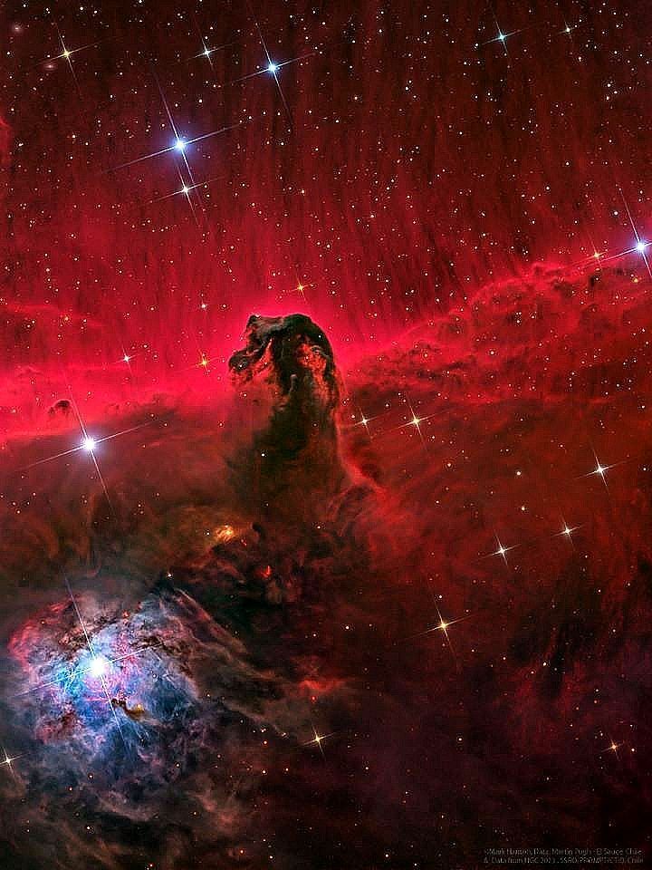 amazing_physics's tweet photo. 🌌 The Horsehead Nebula — a stunning cosmic silhouette carved from clouds of gas and dust, floating in the vastness of space.

A reminder of how beautiful and mysterious our universe truly is. ✨ https://t.co/GIo9hu2gLn