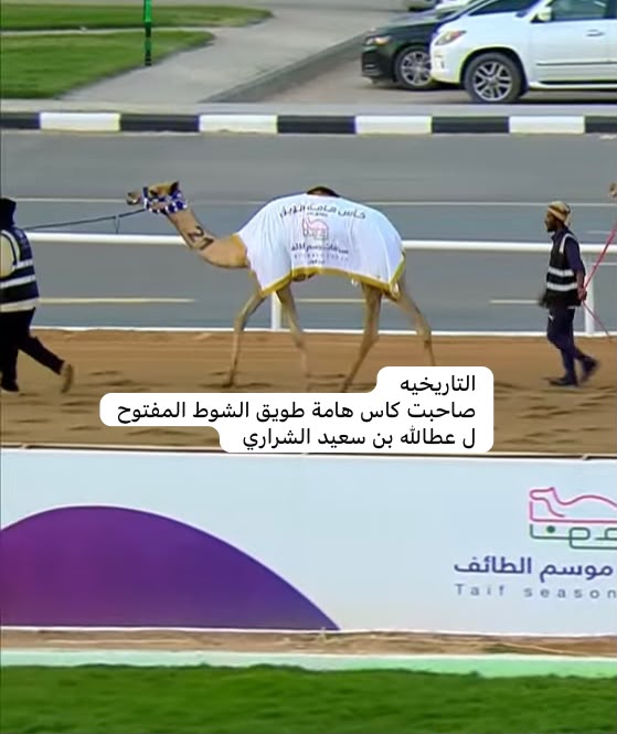 Medan_tabarjal's tweet photo. يتقدم مدير ميدان الهجن بمحافظة طبرجل/سلطان فهد الظاهره وملاك الهجن بالتهاني والتبريكات لمالك الهجن والمضمر الكبير/ عطاالله سعيد الجوادله على حصوله في ميدان الطائف كأس هامة طويق /مقدم من رجل الأعمال رياض بن ثامر السعدون.
ألف ألف ألف مبروك لمالك الهجن/ عطاالله سعيد الجوادله الشراري https://t.co/KI3BWX2hmc