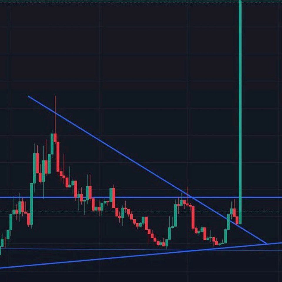 Cryptoo_Beast1's tweet photo. What’s the next big #memecoin? https://t.co/otvemOfWlJ