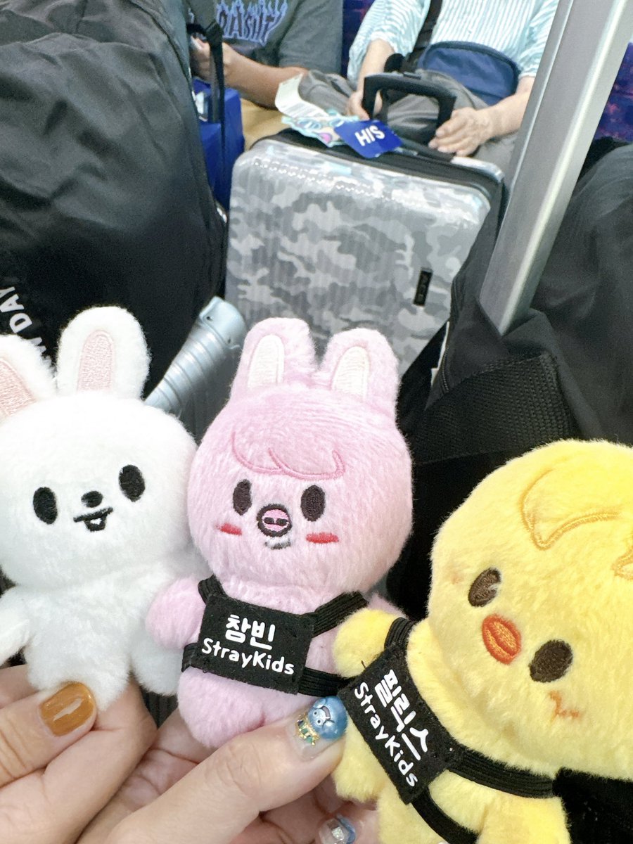azuki_3883's tweet photo. いつも一緒に行動してくれてありがと♡
また一緒にいこーね🇰🇷 https://t.co/scL0QWgsO5