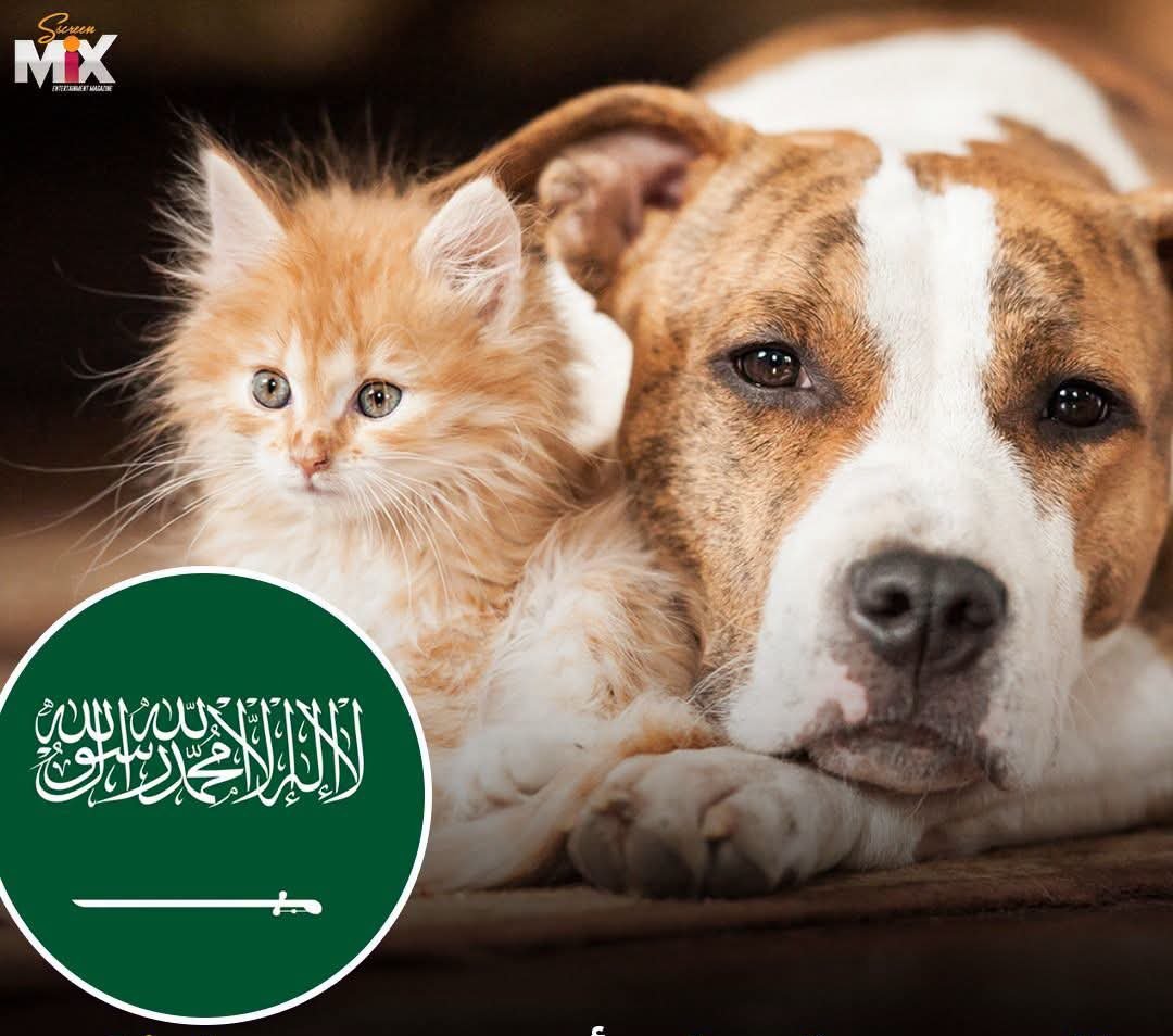 denizseckin0555's tweet photo. Suudi Arabistan, herhangi bir hayvana zarar verenlerin 5 yıla kadar hapis cezası ve 10 milyon Suudi Riyali'ne kadar para cezası ile cezalandırılacağını duyurdu. https://t.co/um7q9THZXS