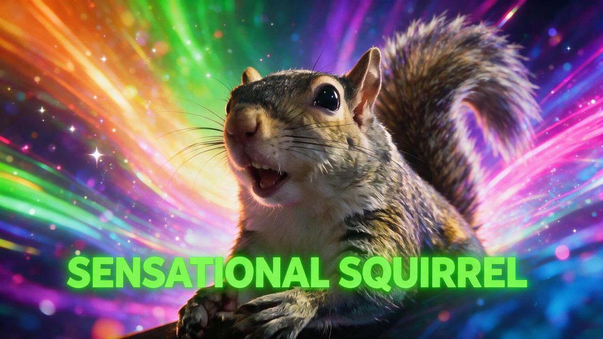 sendorsOnly's tweet photo. 2% locked on $SNUT

AYEfbcfqk1QpDS88p1g6JfWAPkuDULpCBH5Wy1MXpump

Just waking up. Tim me to send the SNUT hop onboard guys it is time https://t.co/dXSskGLnNA