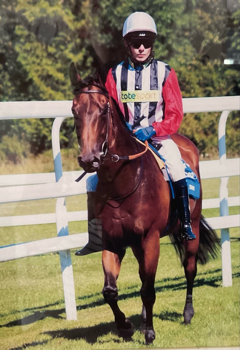 hopperjan's tweet photo. @HarryJCharlton @RacingTV @itvracing @james_fanshawe @JPSPENCER1980 
Our lovely Zidane was last out of the hat at the Stewards Cup draw in 2007. Stall 11 was the only one left! 
Didn’t do him any harm as he won 🥂
Go Completely Random 👏👏 https://t.co/QzsQKK6uDl