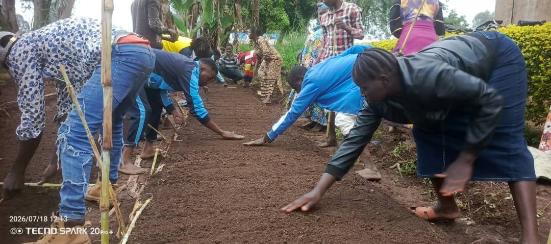caredrc's tweet photo. 🌱La résilience commence dans les champs !

#Ituri, 26 producteurs pilote de #Rubingo, #Tondoli,#Mugwanga dans la zone de santé #Boga,formés au technique de maraîchage résilient: compost, germoirs et semis.Une étape clé pour renforcer de la sécurité alimentaire. #InvestInHumanity https://t.co/AykxUPwc0C