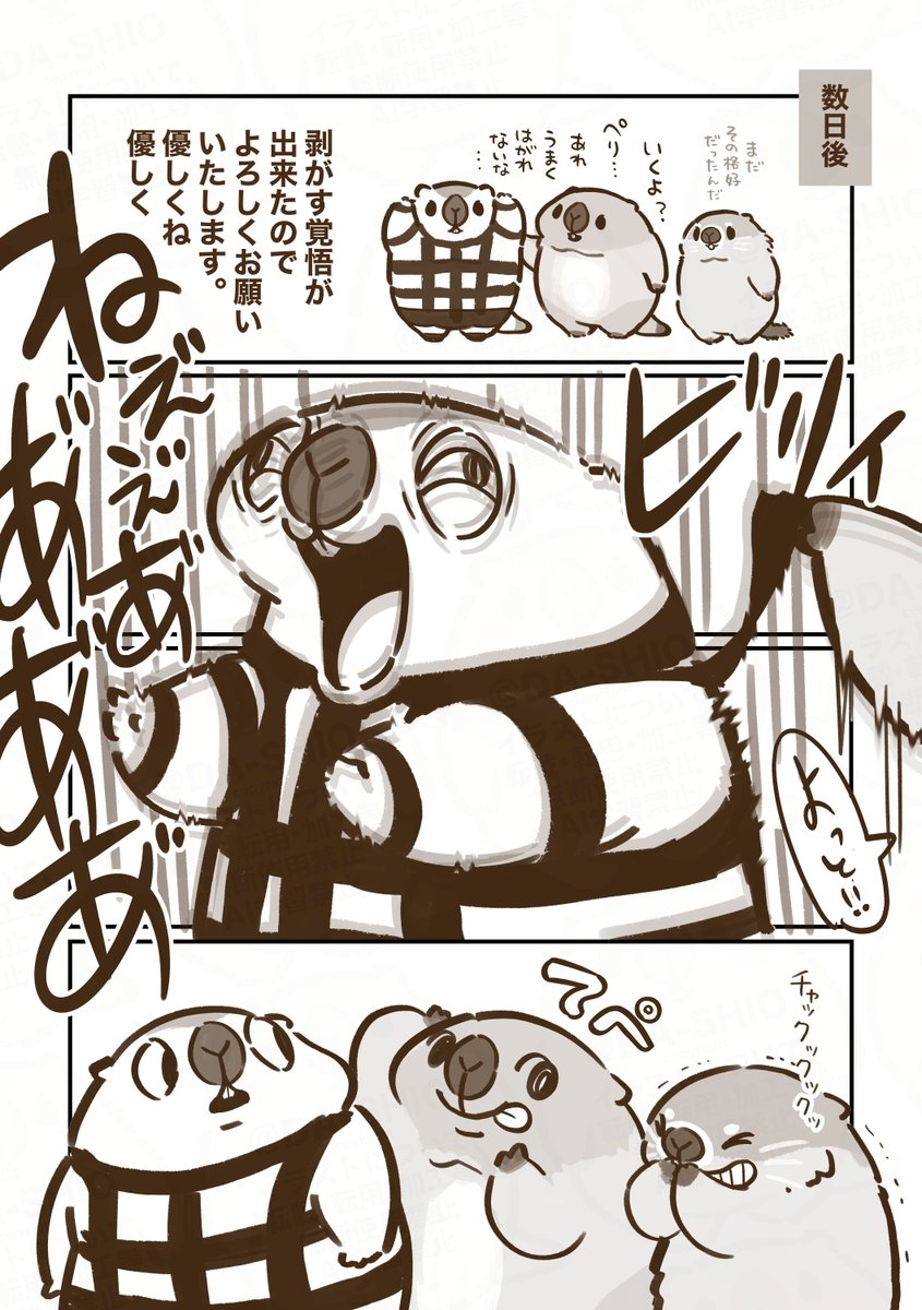 marmottooooo's tweet photo. ʕ  ◐(ꈊ)◑)ガムテープ剥がすあ”ぁ”ぁ”ぁ”‼️(覚悟) https://t.co/cEgzMzM5dP