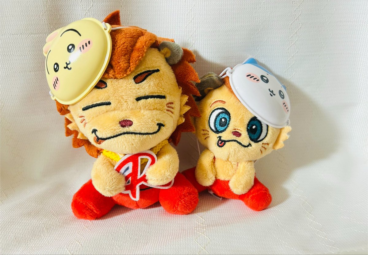 T_R_RILYS's tweet photo. ミニチュアおめんかわいい❤️❤️
隆二くん、うさぎのこと覚えてるかなぁ～🐰💭 https://t.co/qB3qupXmX4