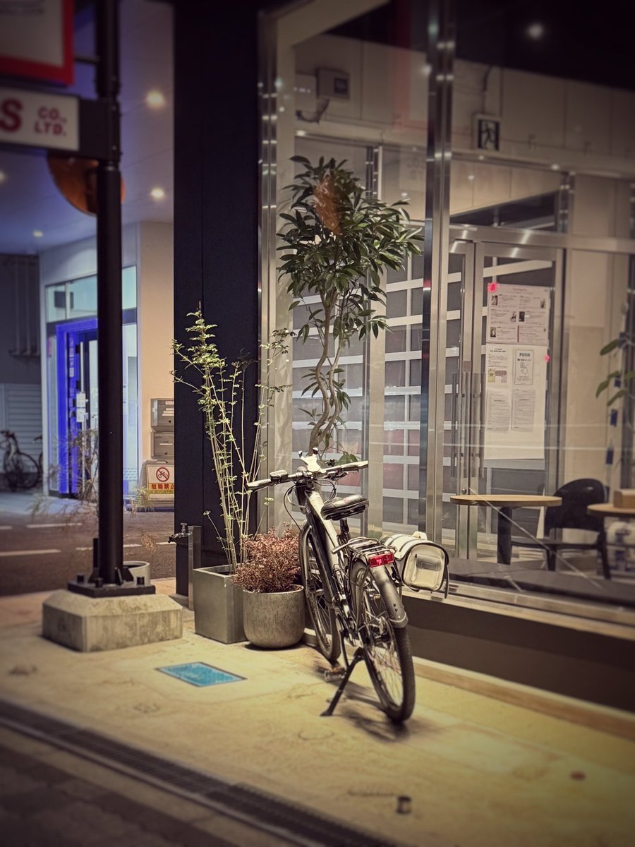greencloudbyou's tweet photo. 夏の夜 https://t.co/wZhEnbM5F8