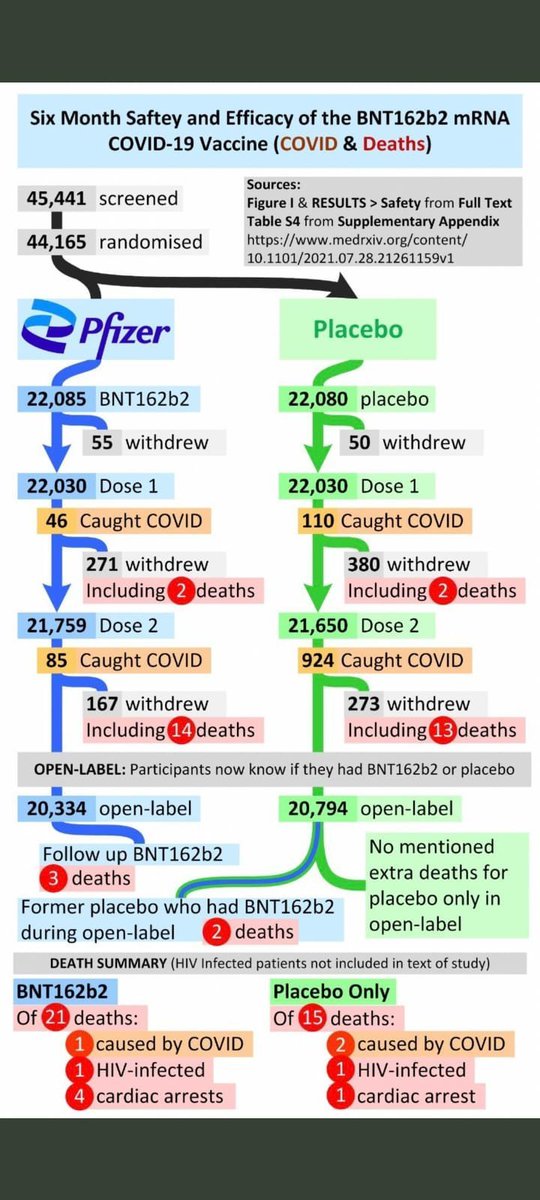 joao_andaime's tweet photo. @korn83039 @BradleyMartyn @lporiginalg @benshapiro It really didn't...
The phase 3 clinical trial (last one before authorization) already showed more people dying in the vax group compared to placebo. https://t.co/BwVhZ0Do5x