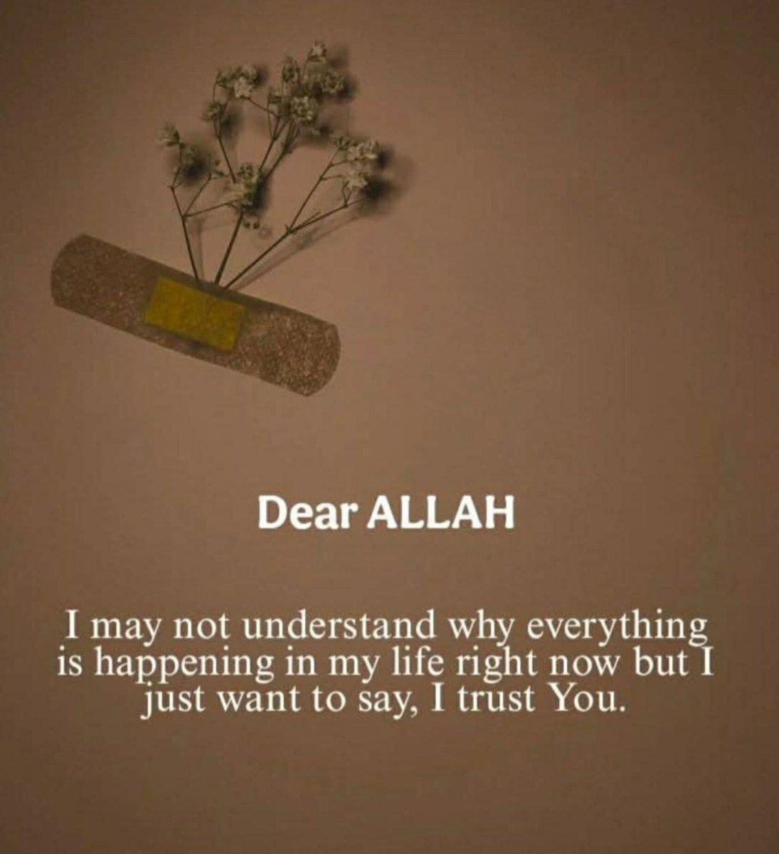 QuddusRsa's tweet photo. Dear ALLAH ☝🏻🫶✨️ https://t.co/UPLpSkF0sx