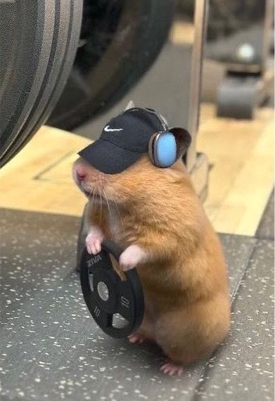 Say_fa__52k's tweet photo. 🐻💪🏽 https://t.co/UCiSCIF24X
