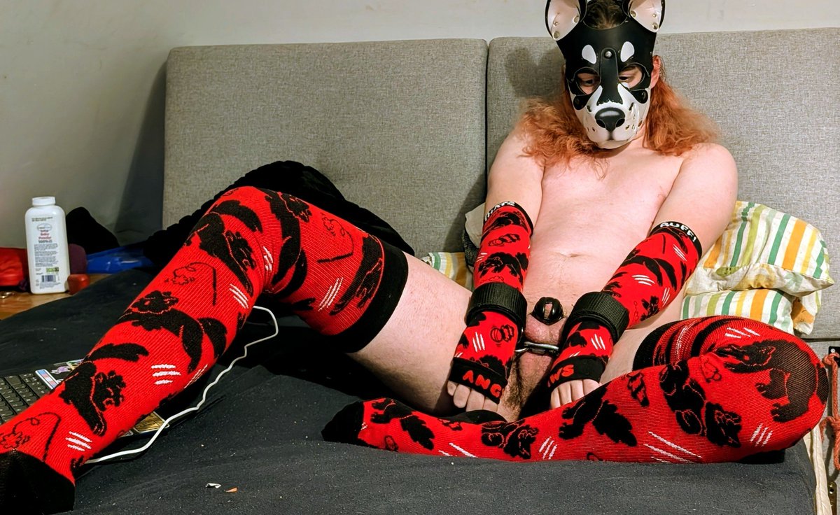 Novastyx_AD's tweet photo. I acted to feral, so they had to cage me >:3

Ft @AngyPawsAD 
Use my link to get some:
https://t.co/KDuRveAPHF https://t.co/4lCRYjO7uT
