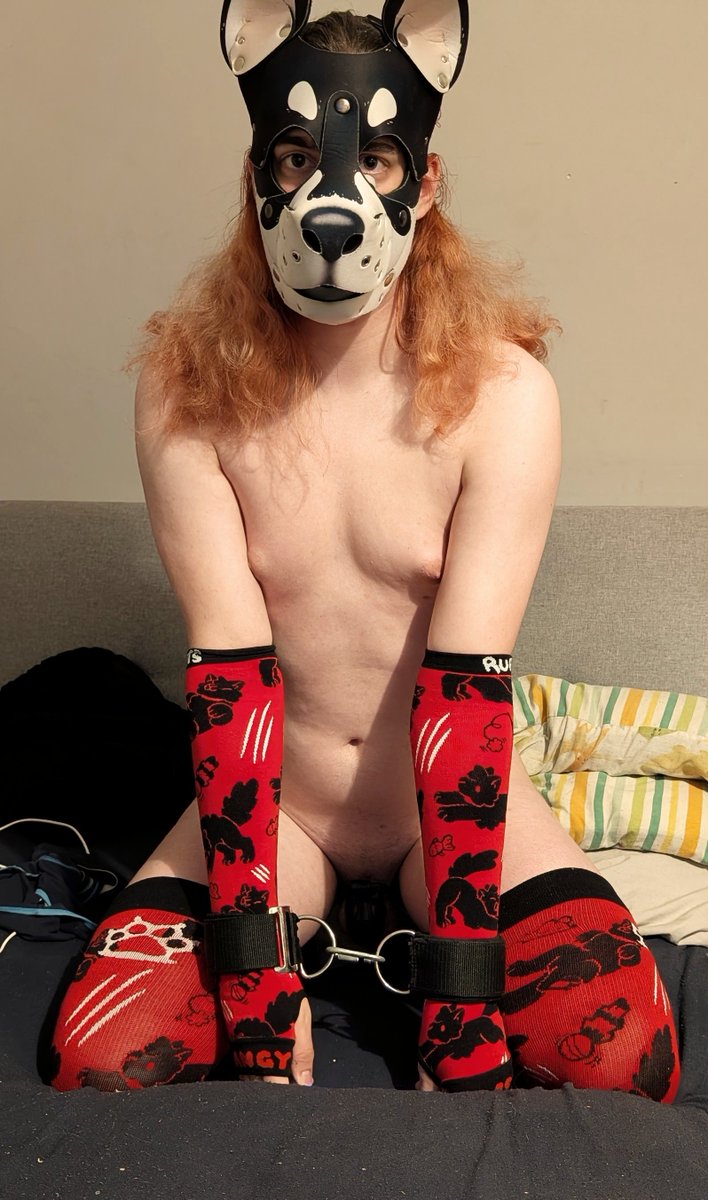 Novastyx_AD's tweet photo. I acted to feral, so they had to cage me >:3

Ft @AngyPawsAD 
Use my link to get some:
https://t.co/KDuRveAPHF https://t.co/4lCRYjO7uT