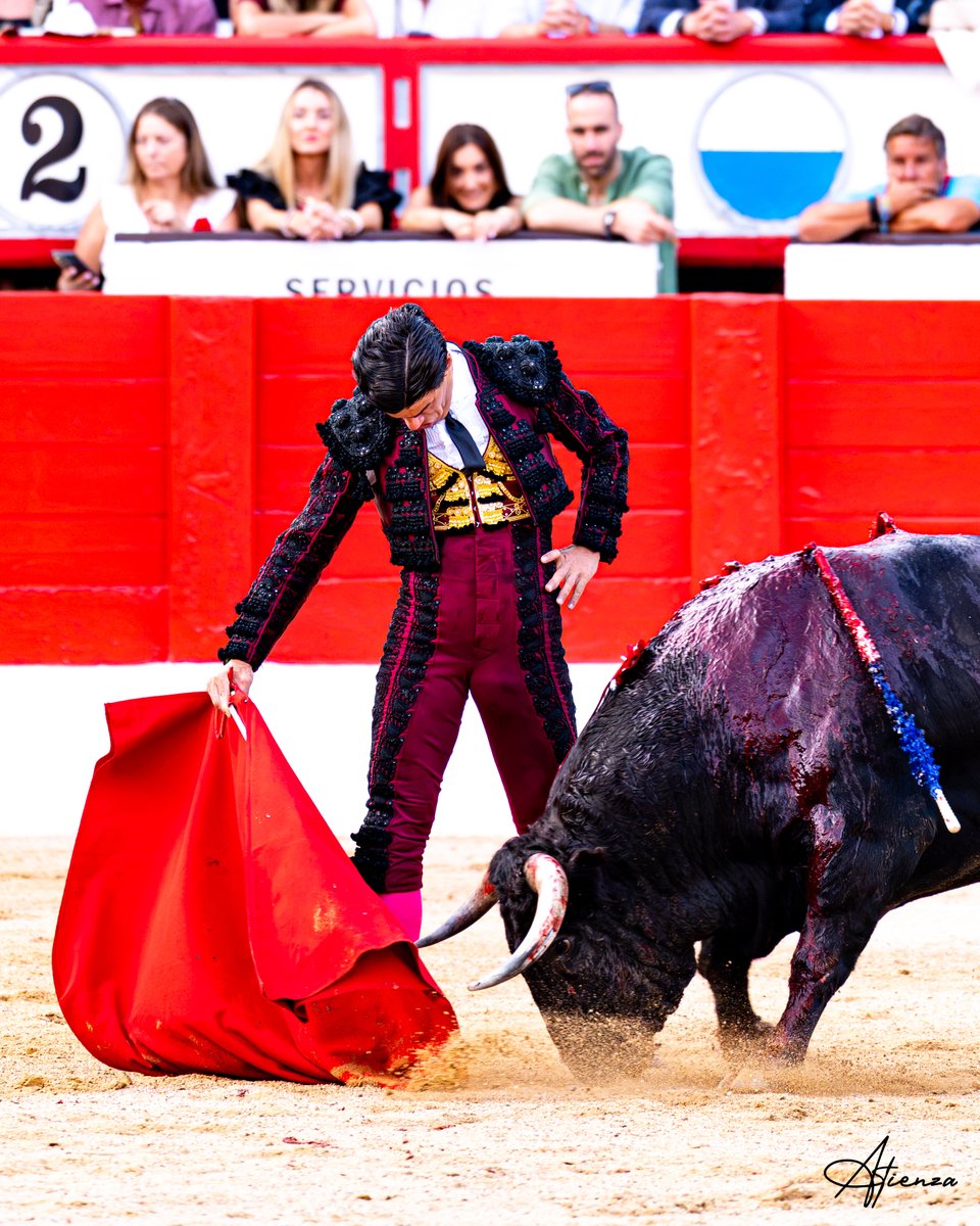 Atienza_Edu's tweet photo. 📸 • Pablo Aguado. Santander 2026.
•
•
•
Fotografías originales de Edu Atienza.
@pabloaguadocom 
@CTPabloAguado 
@lancesdefuturo 
#Toros #Cultura #Santander https://t.co/jOYlyn9PiS