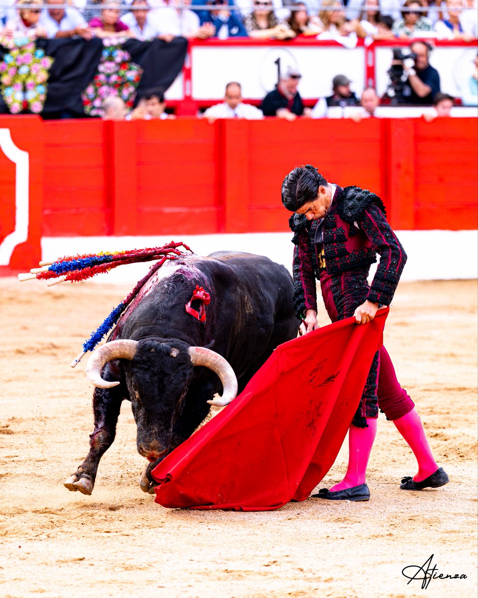 Atienza_Edu's tweet photo. 📸 • Pablo Aguado. Santander 2026.
•
•
•
Fotografías originales de Edu Atienza.
@pabloaguadocom 
@CTPabloAguado 
@lancesdefuturo 
#Toros #Cultura #Santander https://t.co/jOYlyn9PiS
