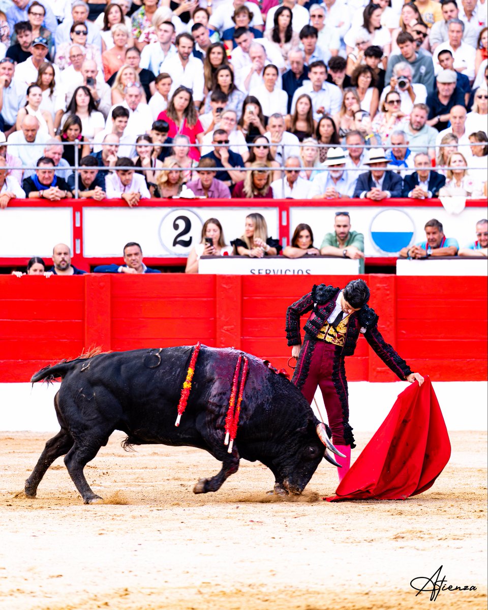 Atienza_Edu's tweet photo. 📸 • Pablo Aguado. Santander 2026.
•
•
•
Fotografías originales de Edu Atienza.
@pabloaguadocom 
@CTPabloAguado 
@lancesdefuturo 
#Toros #Cultura #Santander https://t.co/jOYlyn9PiS