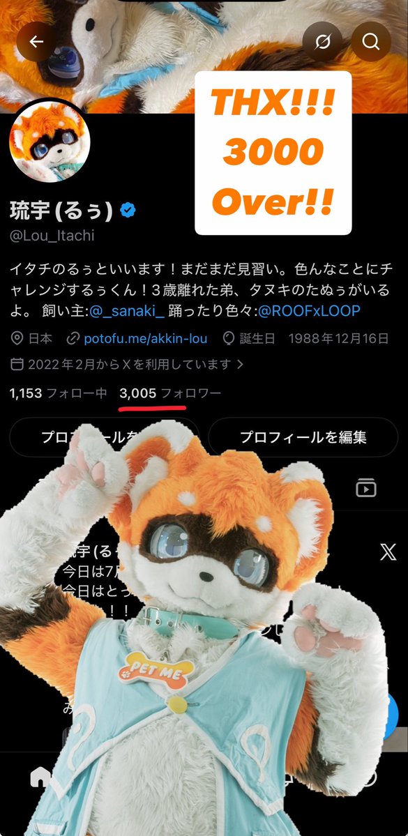 Lou_Itachi's tweet photo. お陰様でフォロワーが3000人超えました！🎉
ほんとにほんとにみんなありがとうーーー！！🥳🥳🥳

これからもがんばるぅので、仲良くしてくれるとうれしいな！！ https://t.co/TgyIwQdLlY