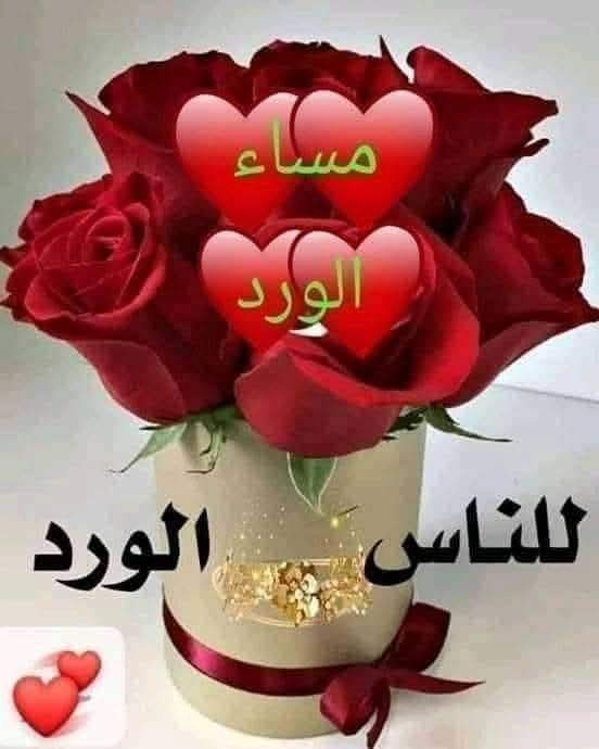 ymn336675838810's tweet photo. مساء الورد https://t.co/OHJQ5lAxcE