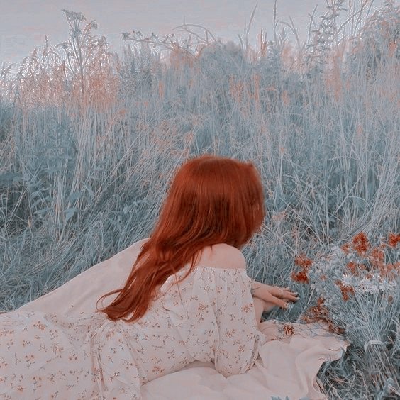 fireflybell_'s tweet photo. https://t.co/ExTaz0r21f
