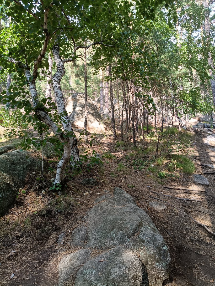 ananasofil's tweet photo. Nobody knows what I'm doing in that forest (reread 2ha). https://t.co/H8HdYG0IzZ