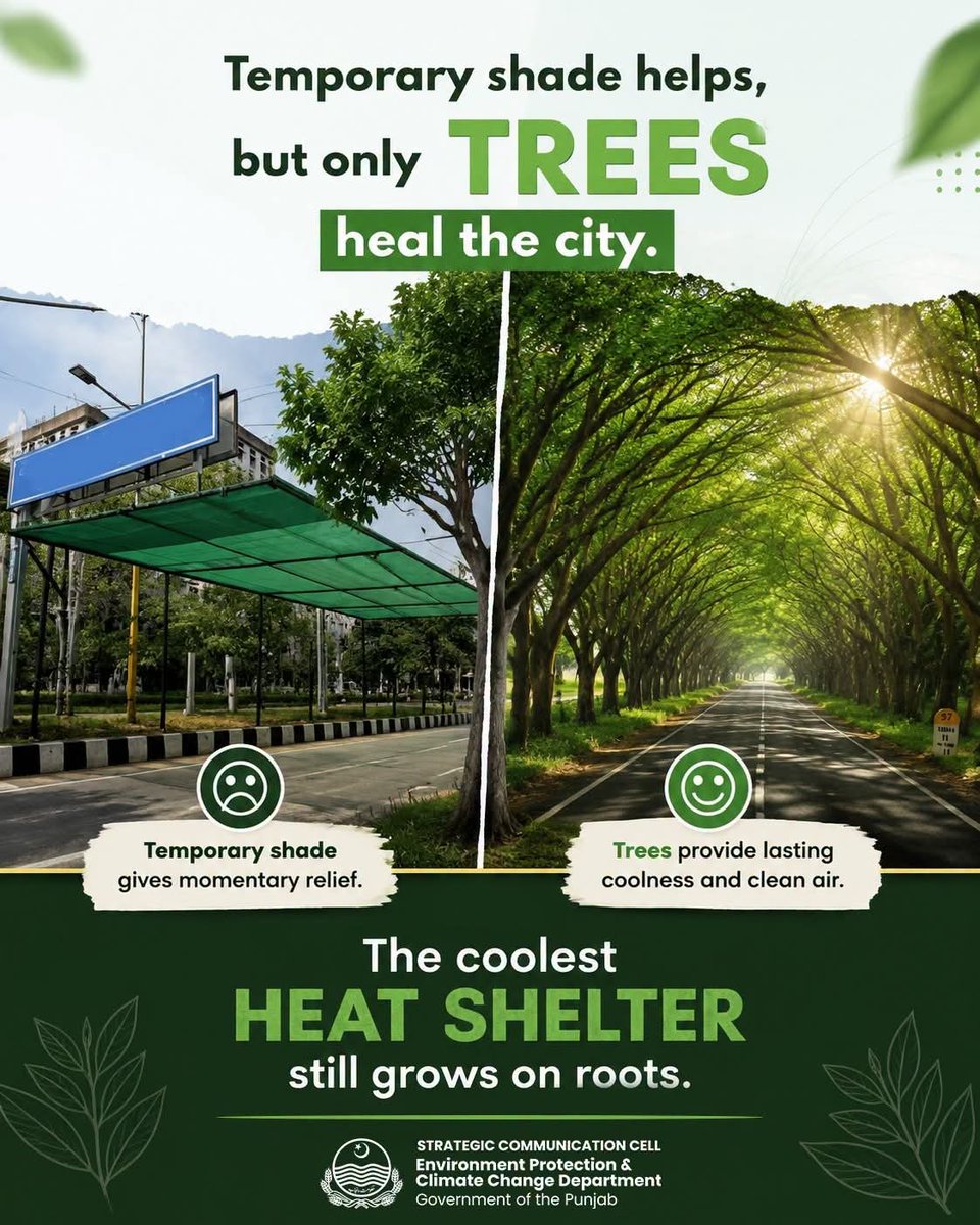 EPCCDpunjab's tweet photo. Temporary shade may offer comfort for a while, but trees provide a lasting solution by cooling our cities, improving air quality, and building climate resilience.
#TreesForLife #CleanGreenPunjab #ClimateAction #BeatTheHeat #GreenPunjab #PlantMoreTrees #EPAPunjab #Im4Climate https://t.co/mIYmcxJ5CH