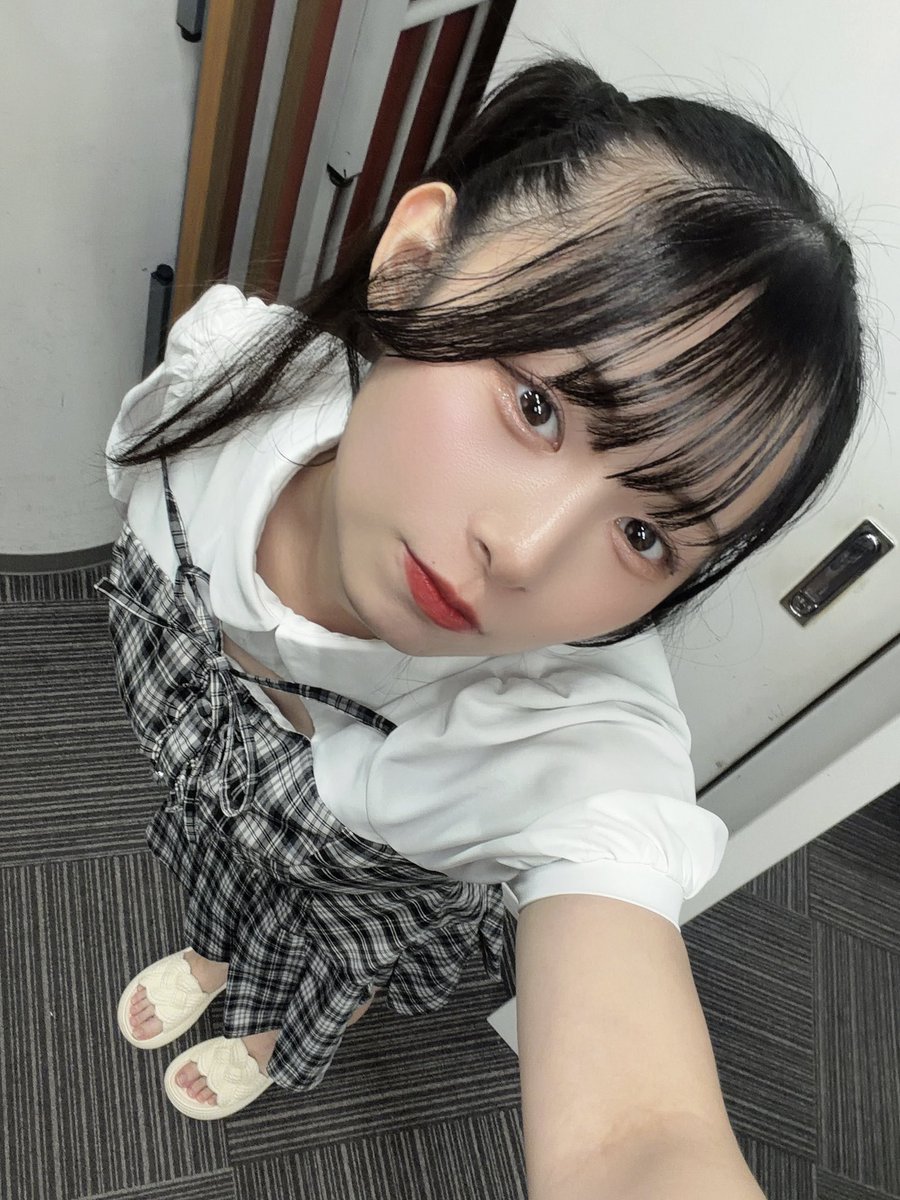 ピパちゃん様 ひまちゃん 上から見るか、下から見るか🎇
