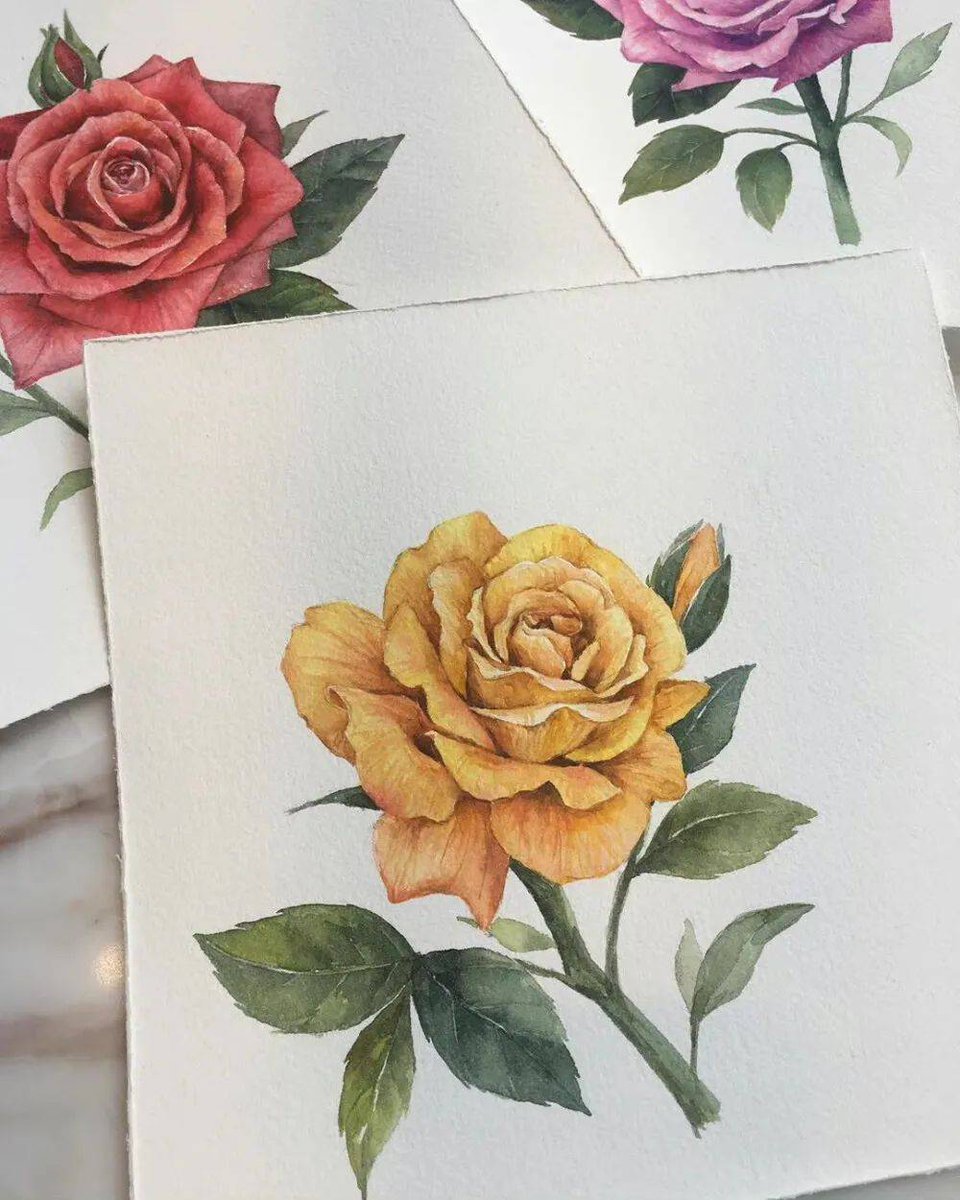 CurrieJane50519's tweet photo. Trying watercolor Start with 3 cheap brushes u0026 a notebook. Small steps = big creative wins today! https://t.co/PxHw9cMd6N