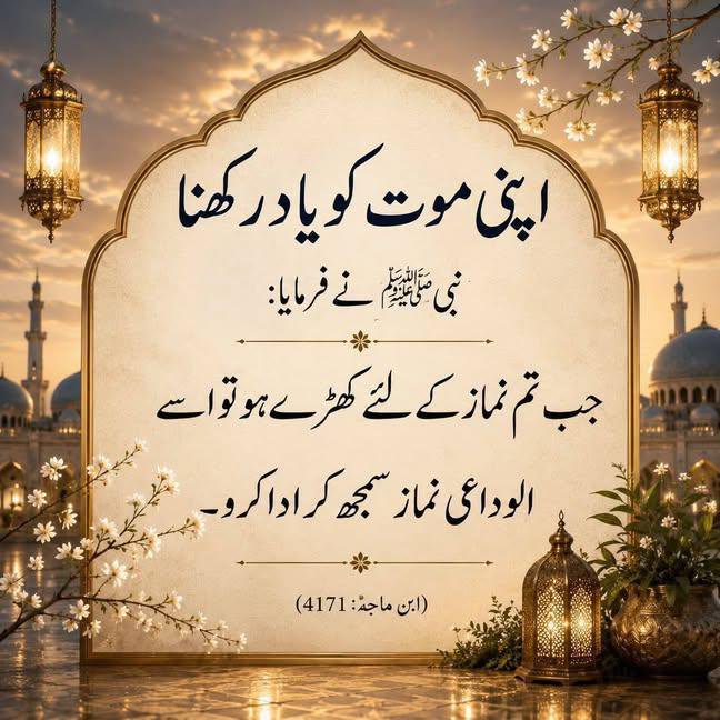 ChotiSheikhni tweet picture