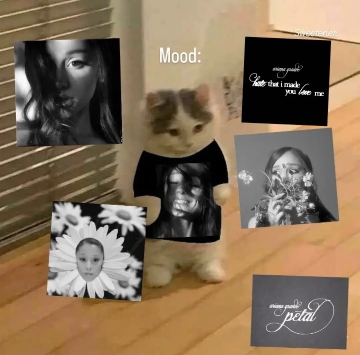 eternalsaith's tweet photo. this is the mood for today and the rest of the year https://t.co/BOUP4Qthpo