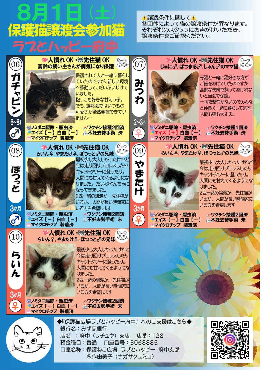 ラブとハッピー府中@里親募集中 (@fuchu2022cat) / Posts / X